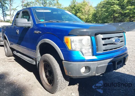 2010 Ford F-150 Stx/Xl z USA, uszkodzony, nr VIN 1FTEX1EW6AFA69231